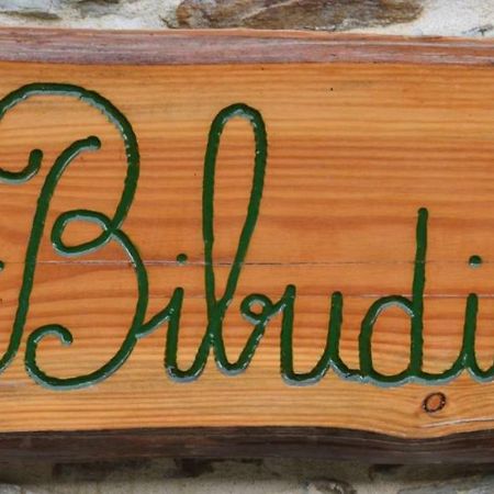 Gites De La Bibudiere Le Boupère Buitenkant foto